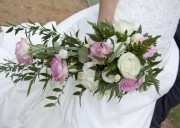 Sarah Cook Photography